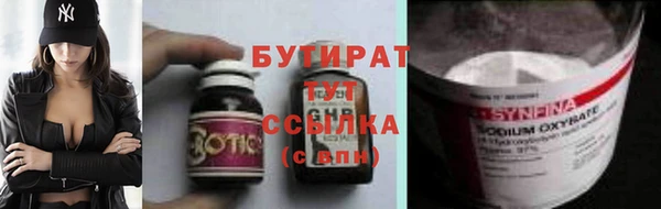 гашик Алексин