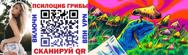 Купить закладки  Белозерск  Галлюциногенные грибы Psilocybine cubensis 
